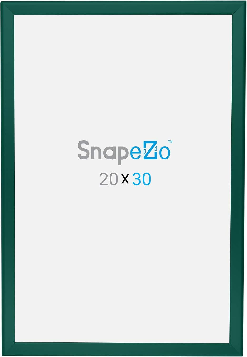SnapeZo Poster Frame 20x30, Green, 1.25 Inch Aluminum Profile, Front-Loading Snap Frame, Wall Mounting, Professional Series