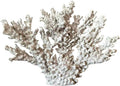 decorlWhite reefs, Artificial Coral Statues, Nautical Decorations for Beach Themed Homes, Resin Artificial Coral Ocean Decorations (Large Size)