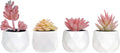 Tiita Artificial Faux Succulents in Pots, Pink Fake Plants Ceramic Arrangement Planter for Women Desk Small Mini Tiny Decoration for Home Office Desk Window 4 Set, Pink