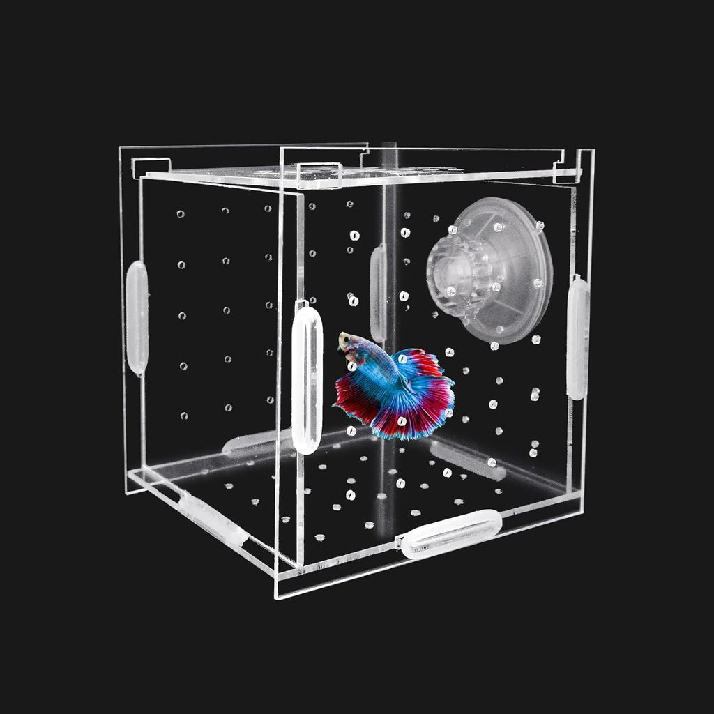 Hamiledyi Acrylic Breeding Isolation Box - Transparent Aquarium Hatchery for Guppy/Shrimp/Small Fish, Safe Nursery Tank with Air Tube & Suction Cups (3.9" × 3.9" × 3.9")