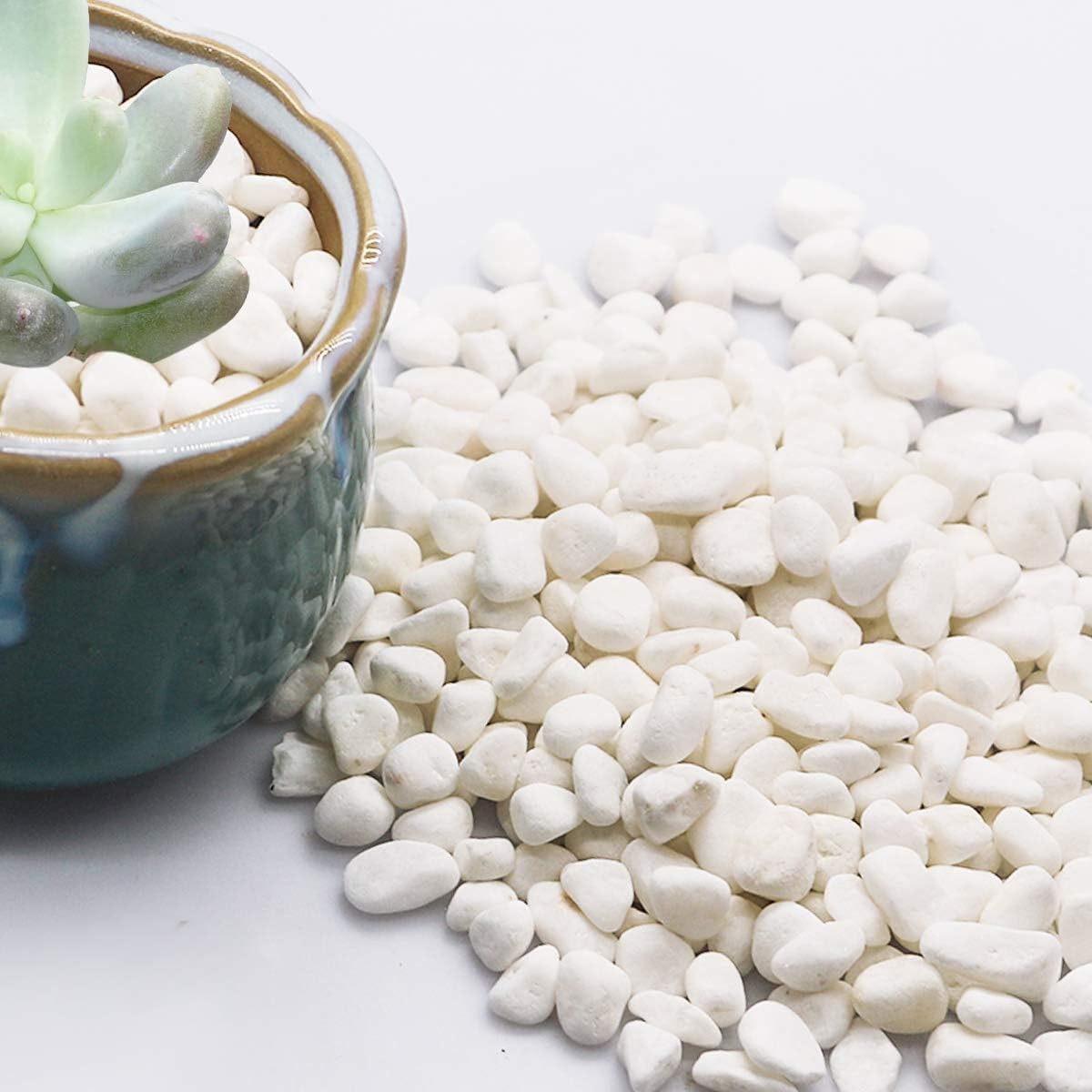 TOYPOPOR Mini White Rocks Stone Decorative Pebbles Vase Fillers Succulents Cactus Bonsai DIY Plant Rock Garden Outdoor Indoor Gravel for Aquarium, Terrarium, Fairy Gardening, Top Dressing 6lbs