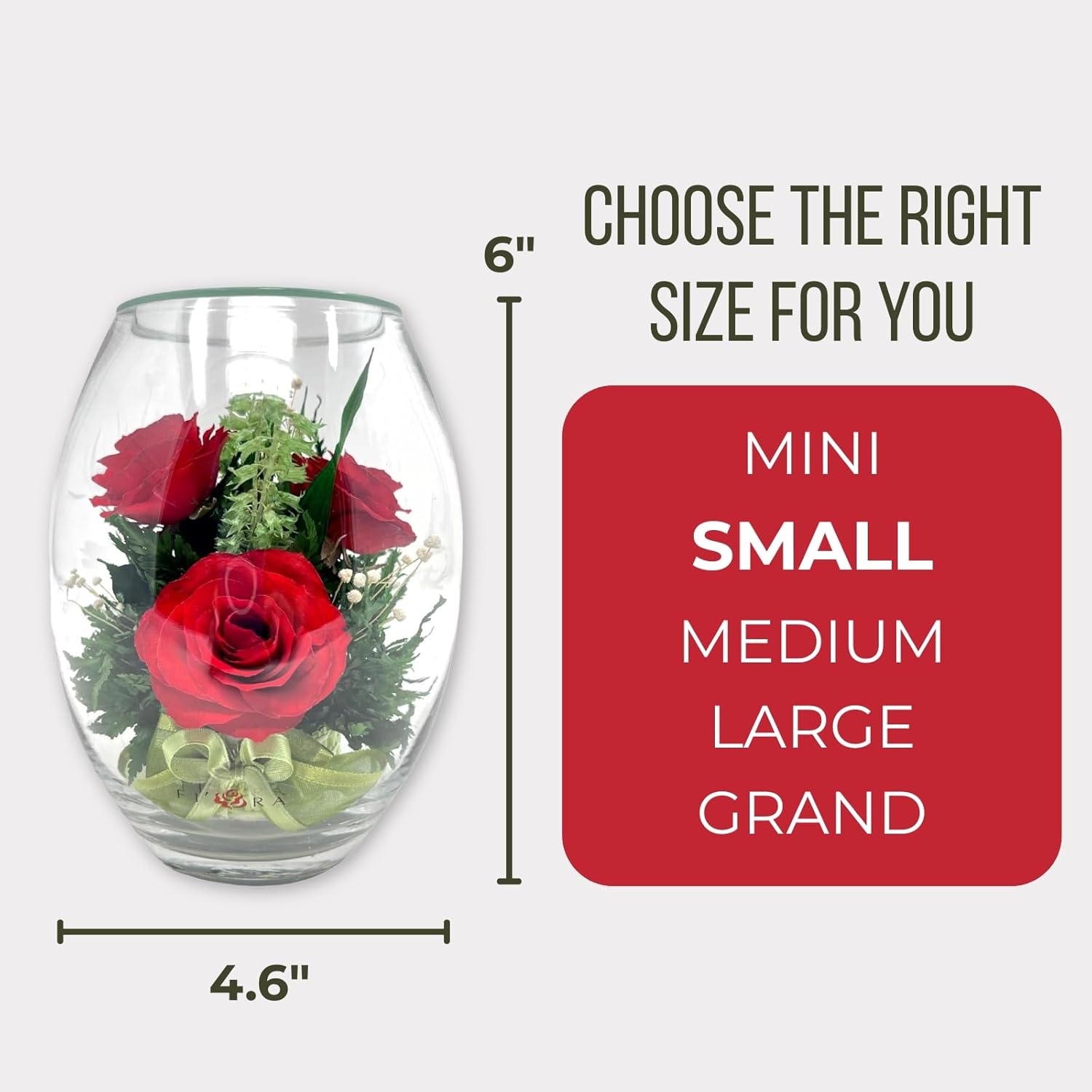 Fiora Flower | Long Lasting Real Roses in a Sealed Vase | Lasts up to 5 Years | Unique Present Gift
