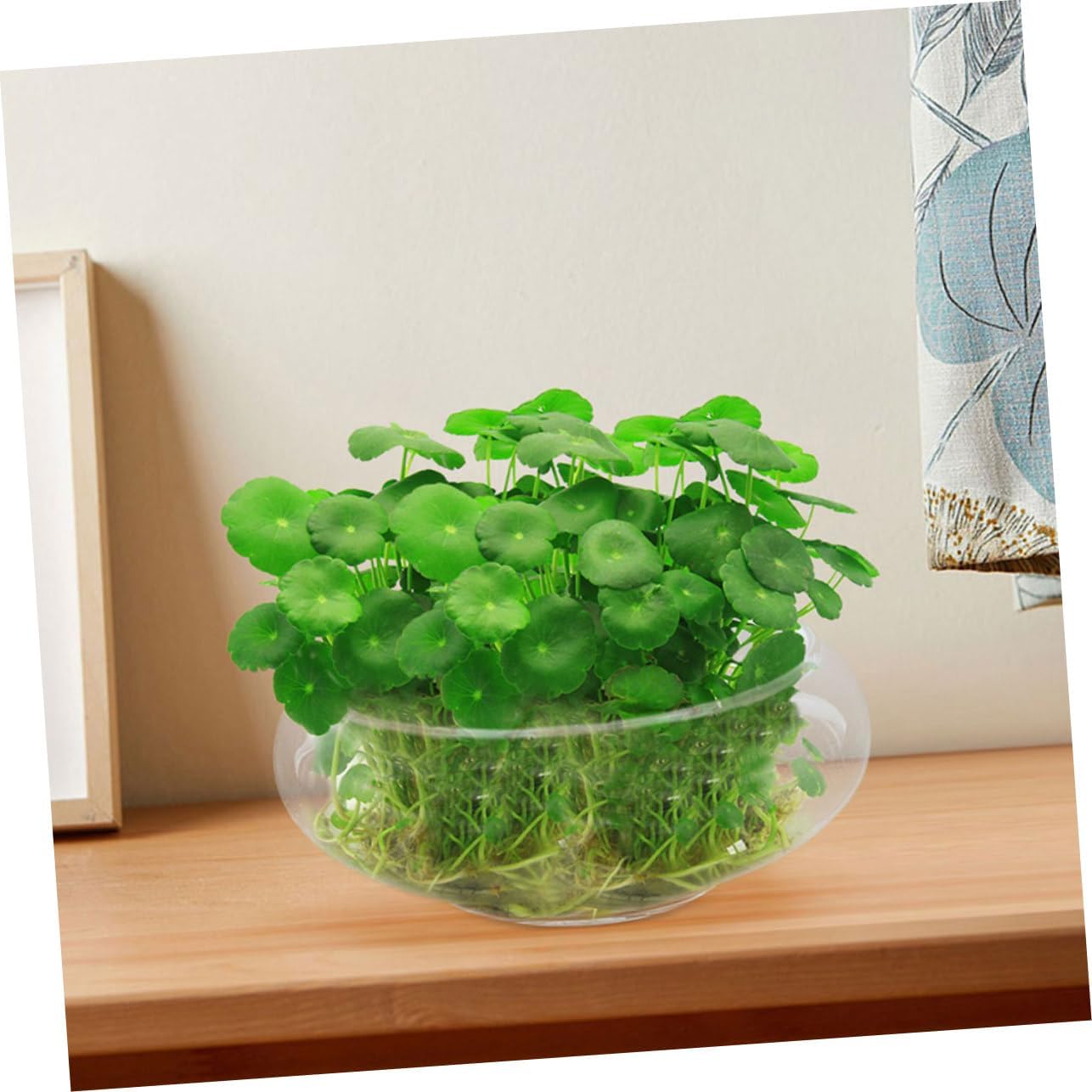 Milisten Flowerpot Micro Landscape Fish Tank Glass Flower Pots Fish Tank for Desk Glass Bowl Hydroponic Plant Pot Keeper Planter Pots Bonsai Planter Succulents Pot Planters