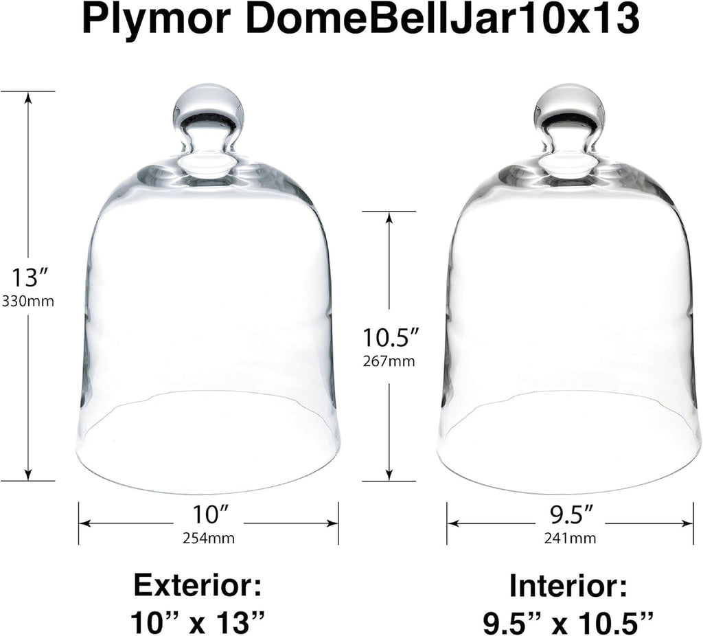Plymor 10" x 13" Bell Jar Glass Display Dome Cloche (Interior Size 9.5" x 10.5")