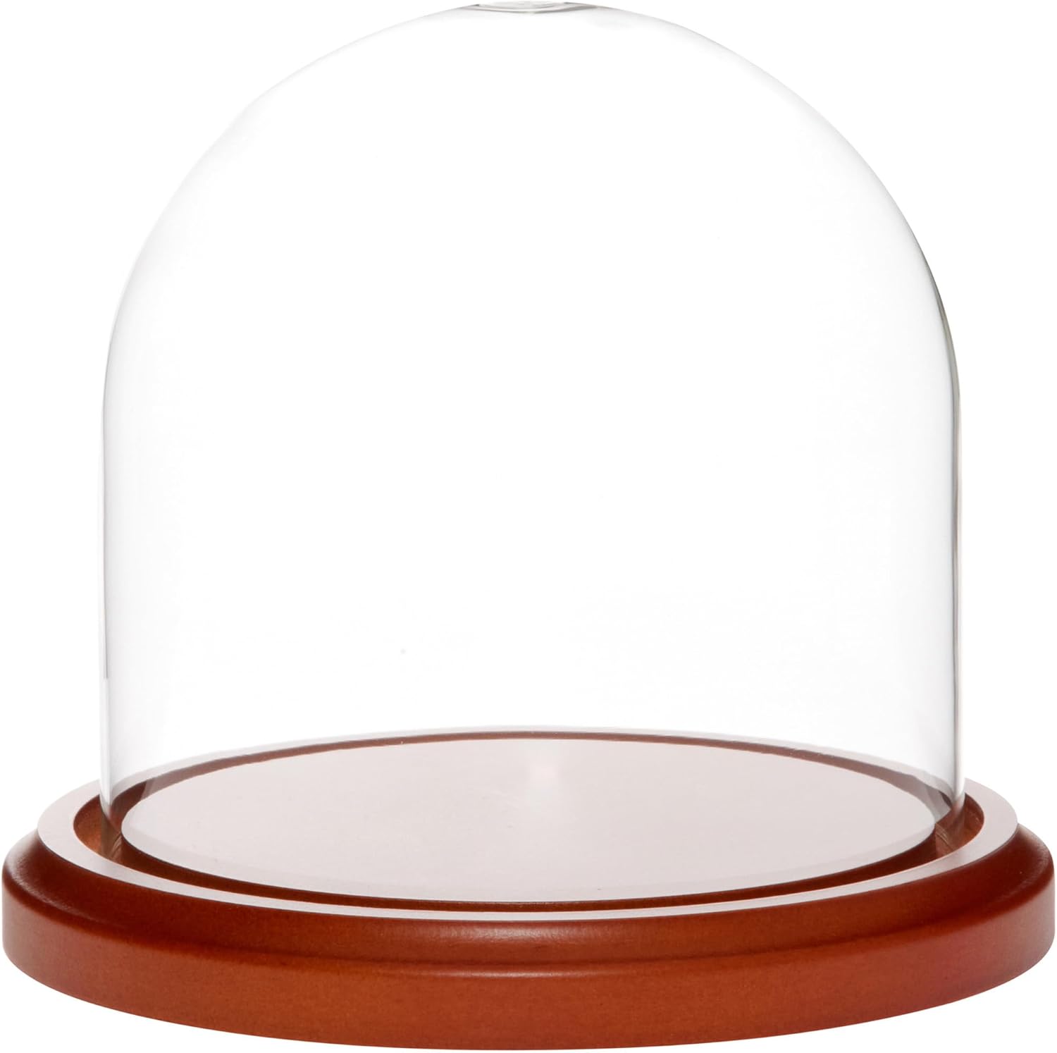 Plymor 5.5" x 5.5" Glass Display Dome Cloche (Walnut MDF Base)