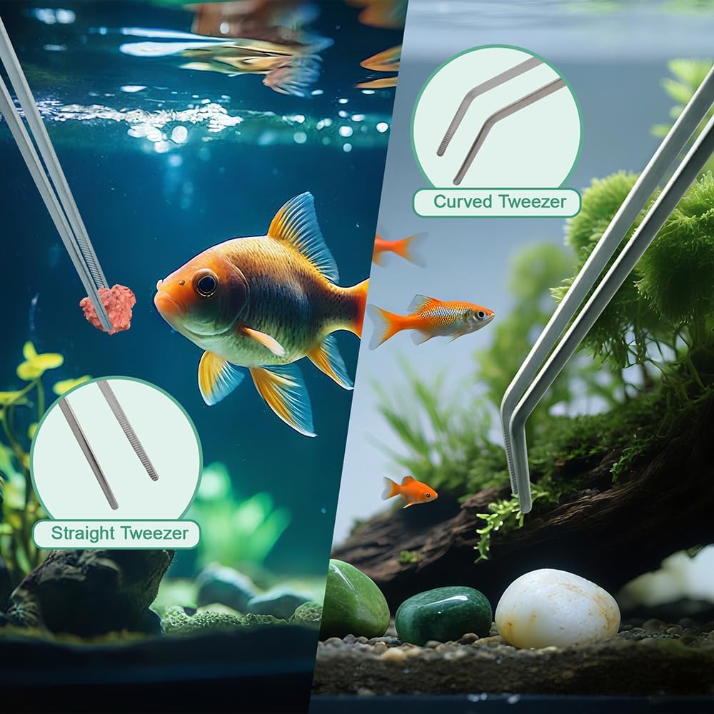 Syn-zer 2PCS Stainless Steel Reptile Feeding Tongs, 10.6 inch Straight and Curved Tweezers for Aquarium, Terrarium & Crafts Bearded Dragon Snake Tank Accessories, Planted Tank Tools Feeder for Lizards