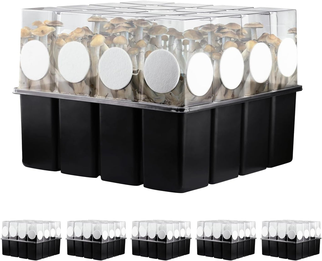 5 Set Monotub with Filter Disks 43.5 Quart Mushroom Grow Kit Vegetable Planting Tray Mini Greenhouse Germination Box for Seeds Growing Starting