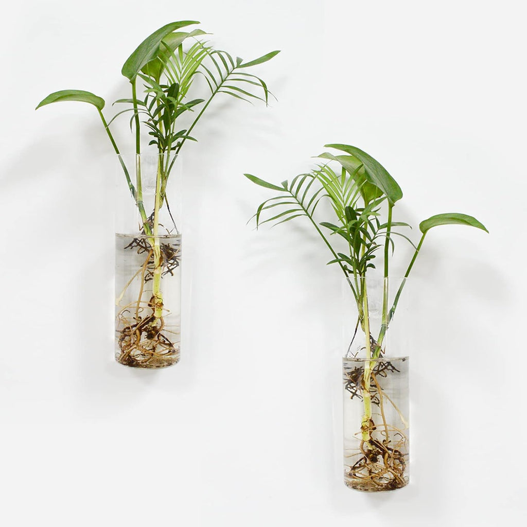 QUELIEN 2 Pack Glass Wall Planter Propagation Station - Wall Hanging Glass Vases for Plants,Plant Terrarium Propagation Station, Unique Housewarming Gift for Plant Lovers