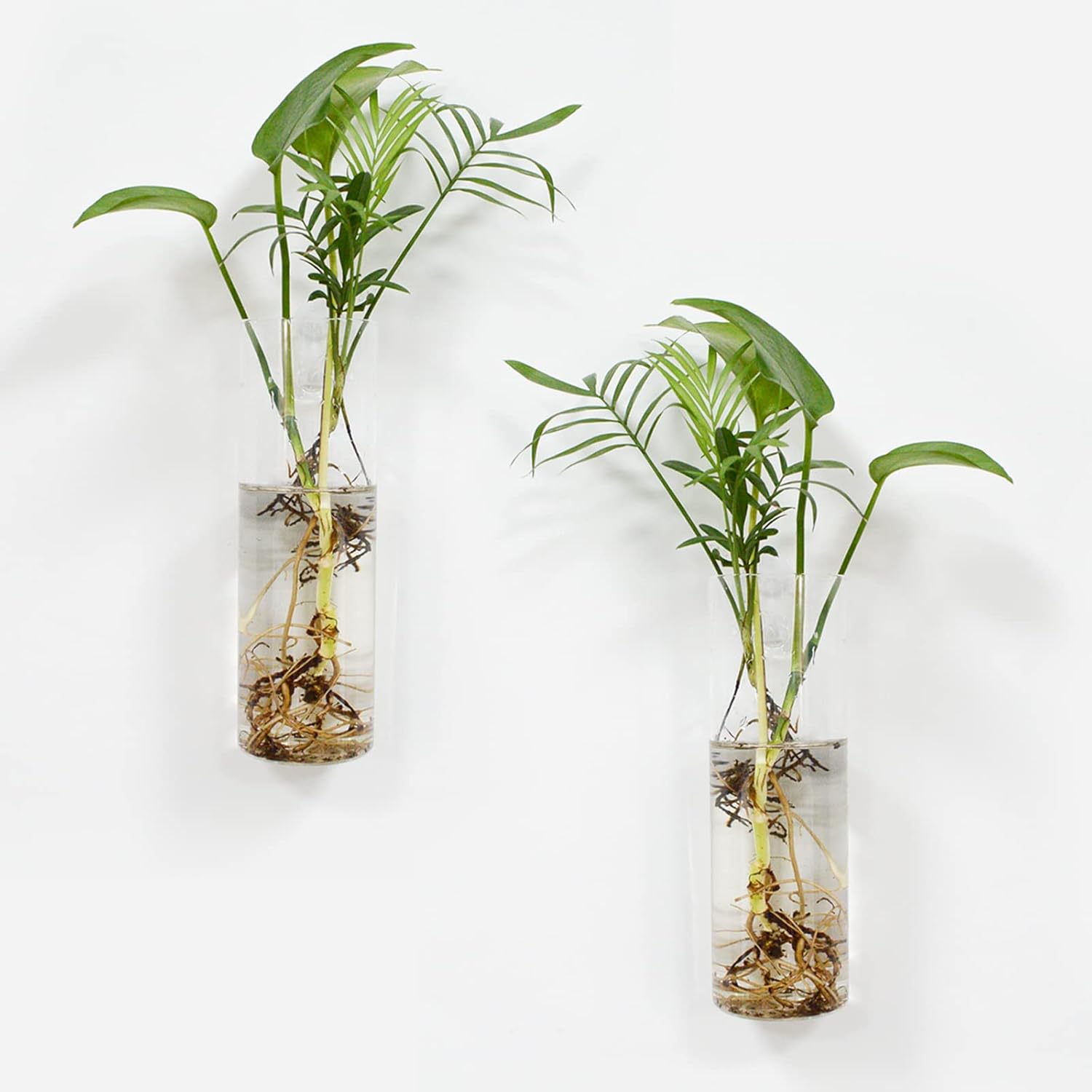QUELIEN 2 Pack Glass Wall Planter Propagation Station - Wall Hanging Glass Vases for Plants,Plant Terrarium Propagation Station, Unique Housewarming Gift for Plant Lovers