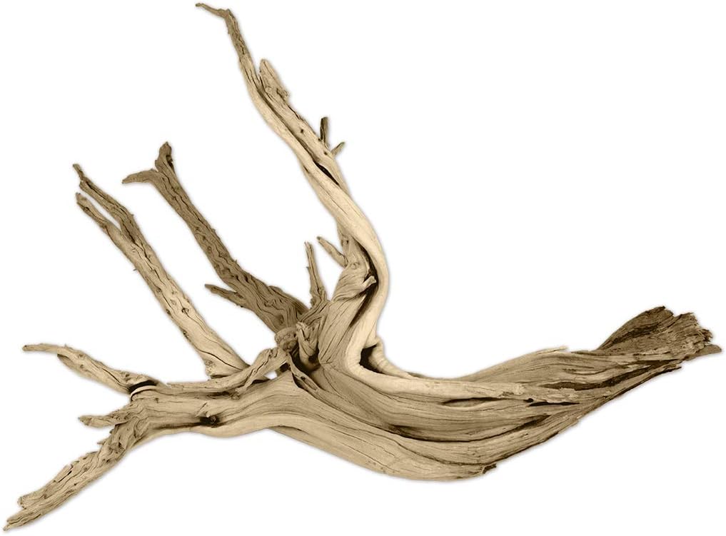 Koyal Wholesale 24" Driftwood Terrarium Decor, Clean California Manzanita Drift Wood Reptile Decor, Driftwood Decor for Home, Desert Reptile Supplies