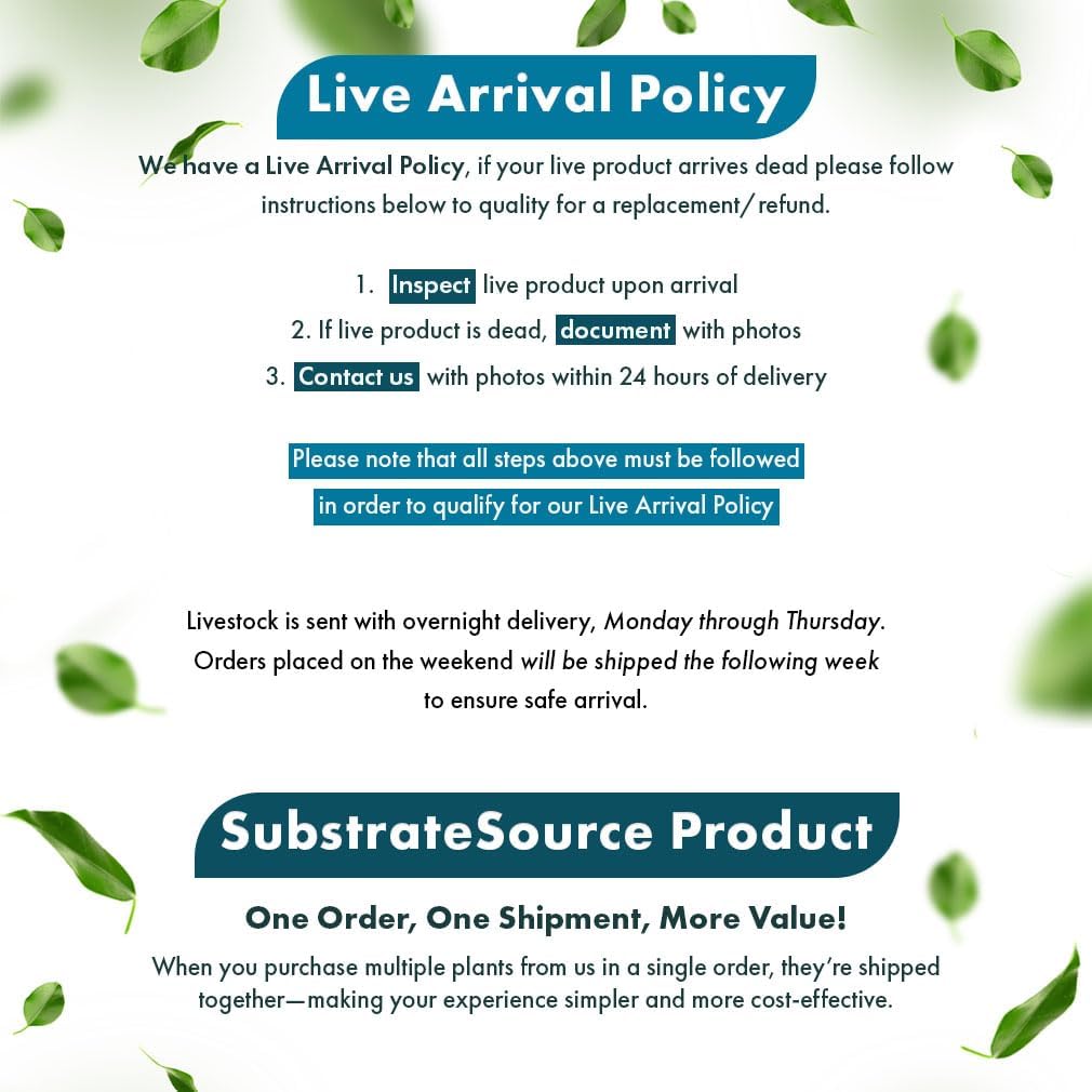 SubstrateSource Cryptocoryne Live Aquarium Plants - Freshwater Plant for Aquariums, Planted Fish Tanks - Beginner Friendly (Usteriana Green, 1 Pot (3-5 Plants))