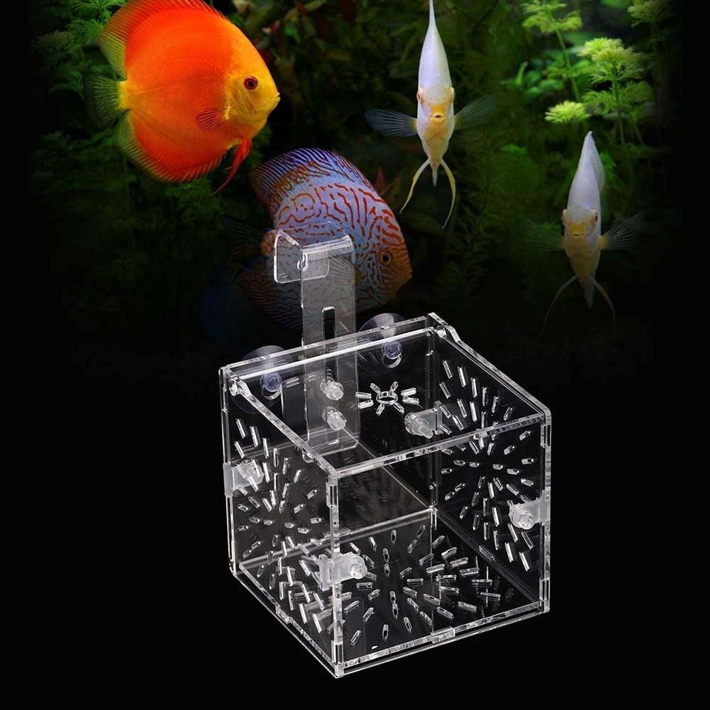 GLOGLOW Aquarium Breeding Isolation Box, Transparent Acrylic Fish Isolation Box Fish Separator with Suction Cups for Small Baby Fishes Shrimp Clownfish Guppy(10CM*10CM*10CM)