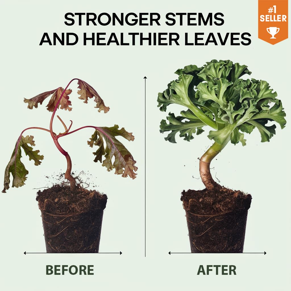 𝐏𝐑𝐄𝐌𝐈𝐔𝐌 Liquid Silica Plant Supplement - 8oz (250mL) - Monstera Bioavailable Silica Fertilizer – Ideal for Hydroponics & Soil – Healthier Plants with Strong Stalks (Makes 45 Gallons)
