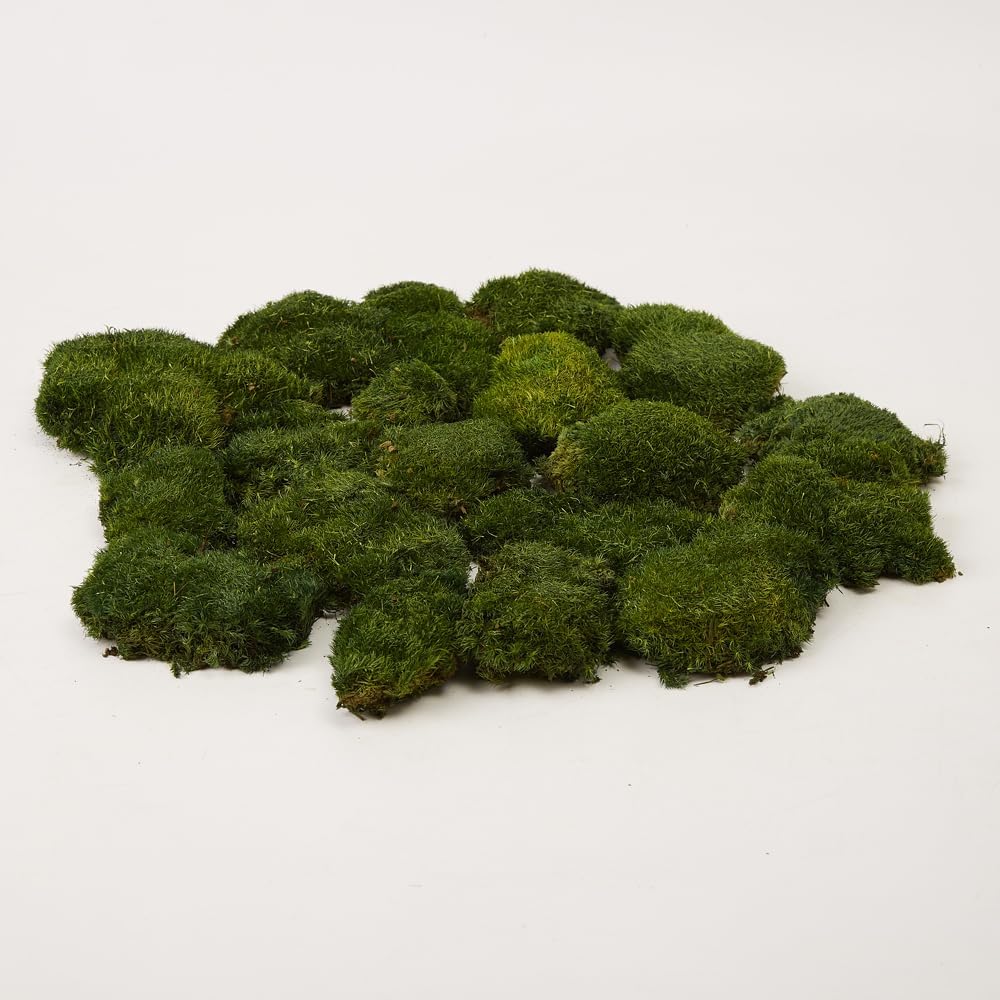 Preserved Pole Moss Pillow Bun Cushion Natural Green Decorative Real Natural DIY Kit Terrariums Garden Art Wall Florist Easter Wedding Decor (1.5 sq.ft., Green-A)