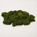 Preserved Pole Moss Pillow Bun Cushion Natural Green Decorative Real Natural DIY Kit Terrariums Garden Art Wall Florist Easter Wedding Decor (1.5 sq.ft., Green-A)