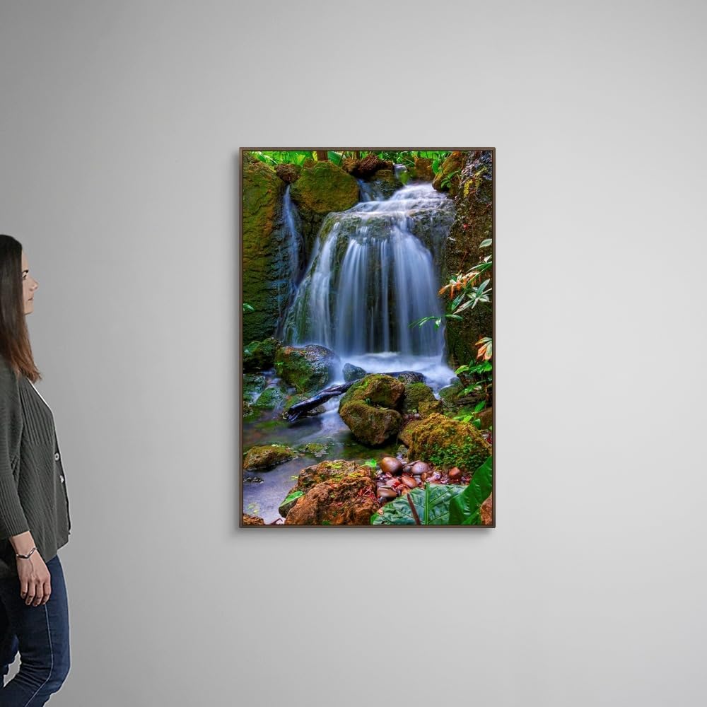 CANVAS ON DEMAND Waterfall in Tropical Rainforest of Fairchild Tropical Gardens, Walnut Float Framed Canvas Wall Art Print, Home Decor, Floral, Flowers, Nature Artwork, 32" x48in