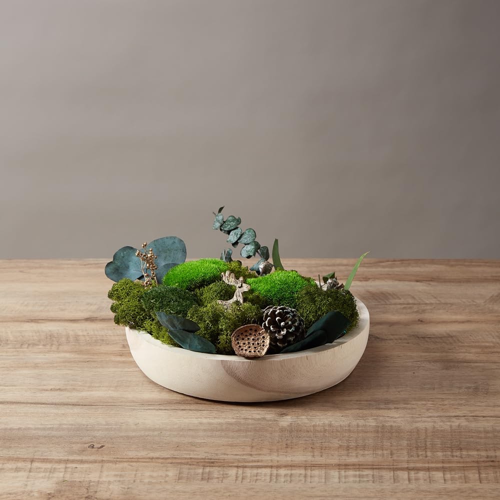 Large Natural Green Decorative Moss Reindeer Vase & Bowl Filler|Preserved Leaves, Ferns, Dried Plant Christmas Wedding Party Decor(Christmas-1)