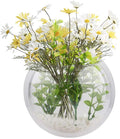 Wall Hanging Plant Terrarium, Clear Acrylic Globe Flower Vase for Air Plants Succulents, Acrylic Round Wall Mounted Hanging Fish Bowl Aquarium Tank, Decorative Plant Pot Hanging(Transparent)