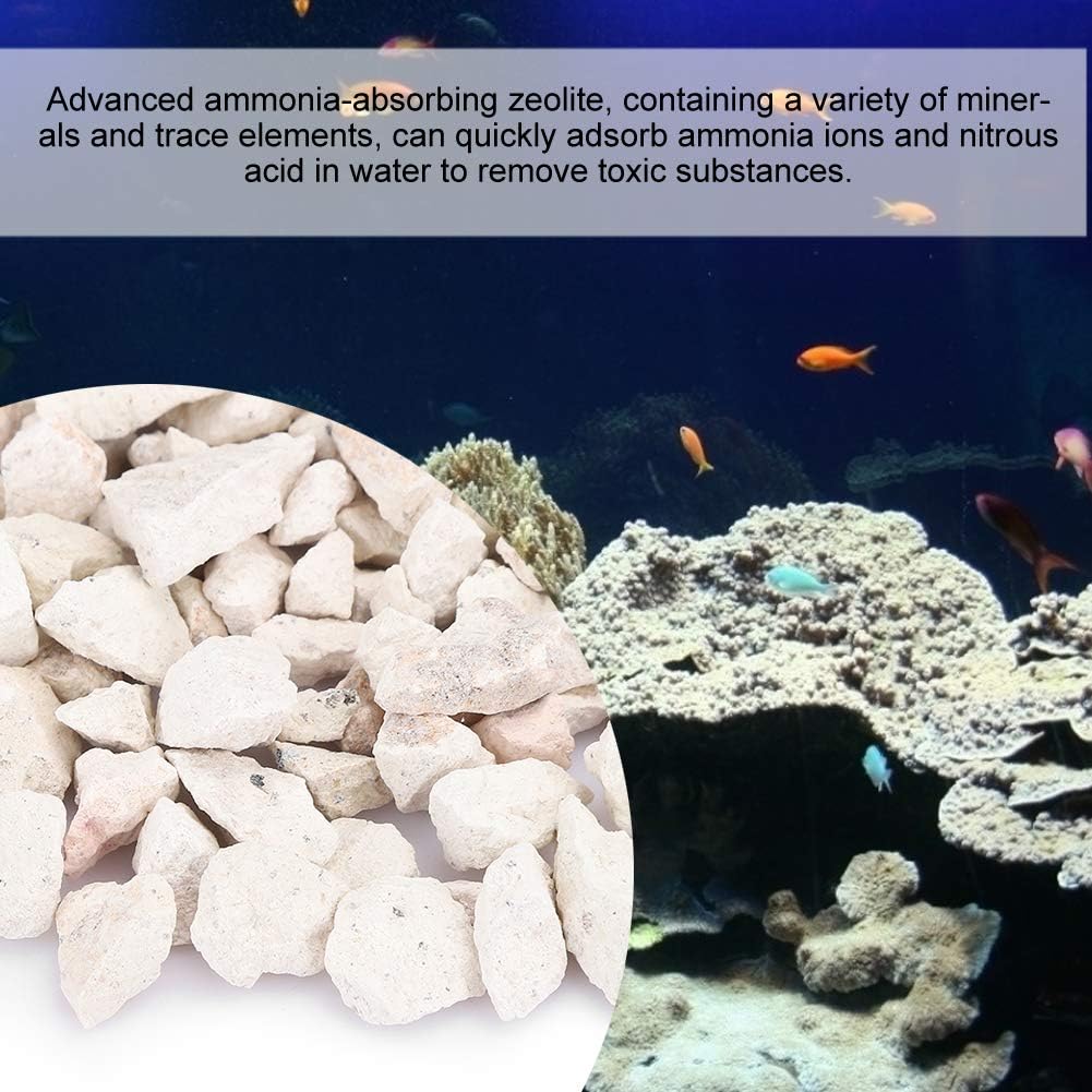 Aquarium Absorb Zeolit, Absorb Zeolite Filter Material Zeolite Rocks, Oder Eliminator, and Activated Deodorizer