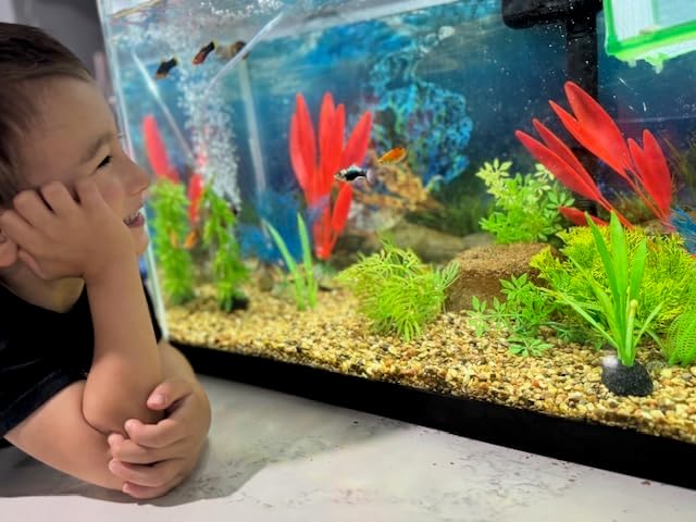 Aquarium Stone for Natural Water Clarification and Odor Removal (Nano)