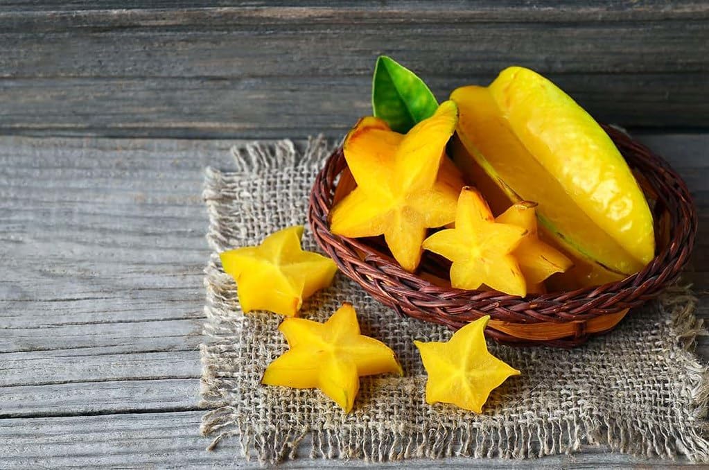 GARDENERA Premium Carambola Potting Soil Mix - Perfect Balance of Nutrients, Drainage, and Aeration for Thriving Starfruit Trees - 1 Quart