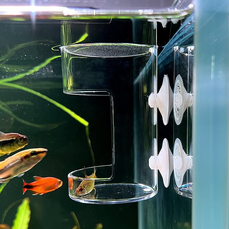 Fish Feeder Orbicular Automatic Fish Feeders Reduced Filter Clogging Tank Suitable for All Kinds of Food Tank Accessories