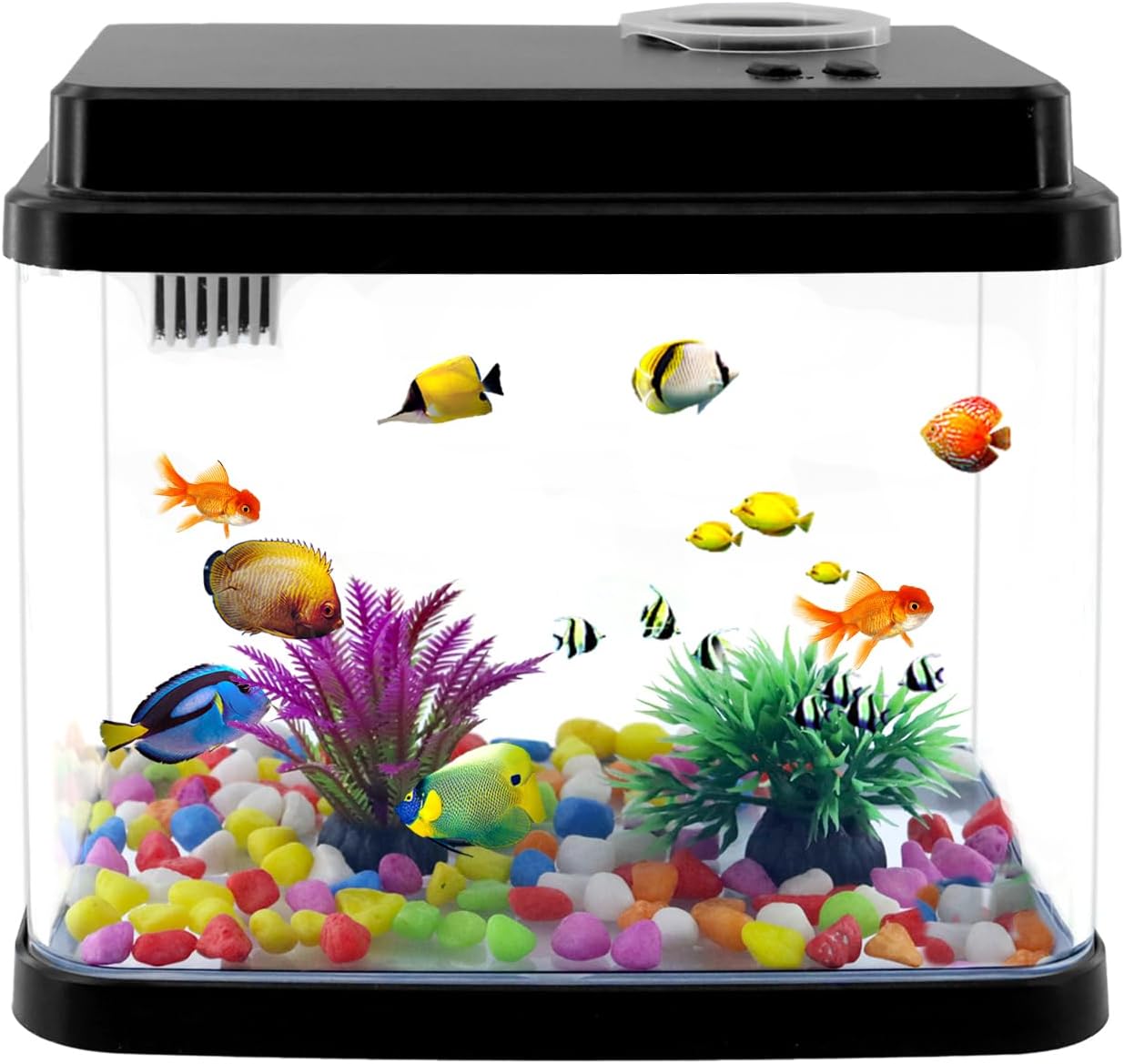 Mini Aquarium Fish Tank,1 Gallon Fish Bowl with Adjustable 6-Color LED Lamps,Filtration,Oxygenation,Water Circulation 3 in 1 Pump,DIY Ocean Stickers, Excellent Gifts for Children and Adults