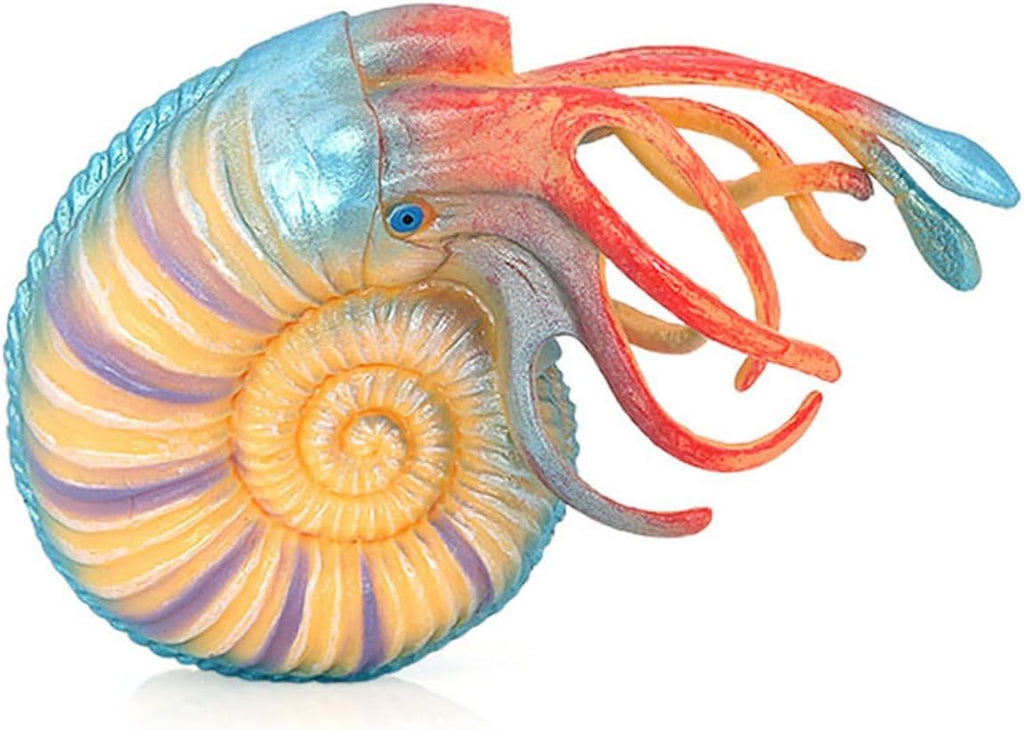 HANABASS Realistic Nautilus Model Animal Ornament Educational Sensory for Aquarium Decoration and Early Learning