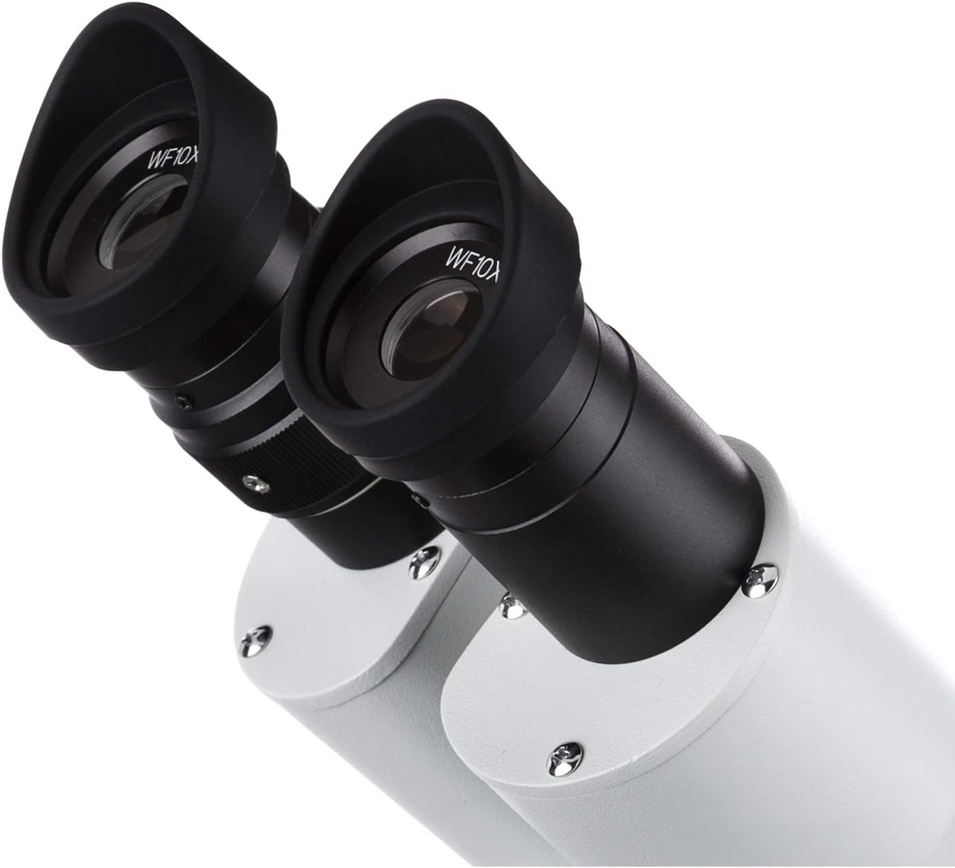 AmScope SE306R-PZ Forward Binocular Stereo Microscope, WF10x and WF20x Eyepieces, 10X-80X Magnification, 2X and 4X Objectives, Upper and Lower Halogen Light Source, Pillar Stand, 120V , White