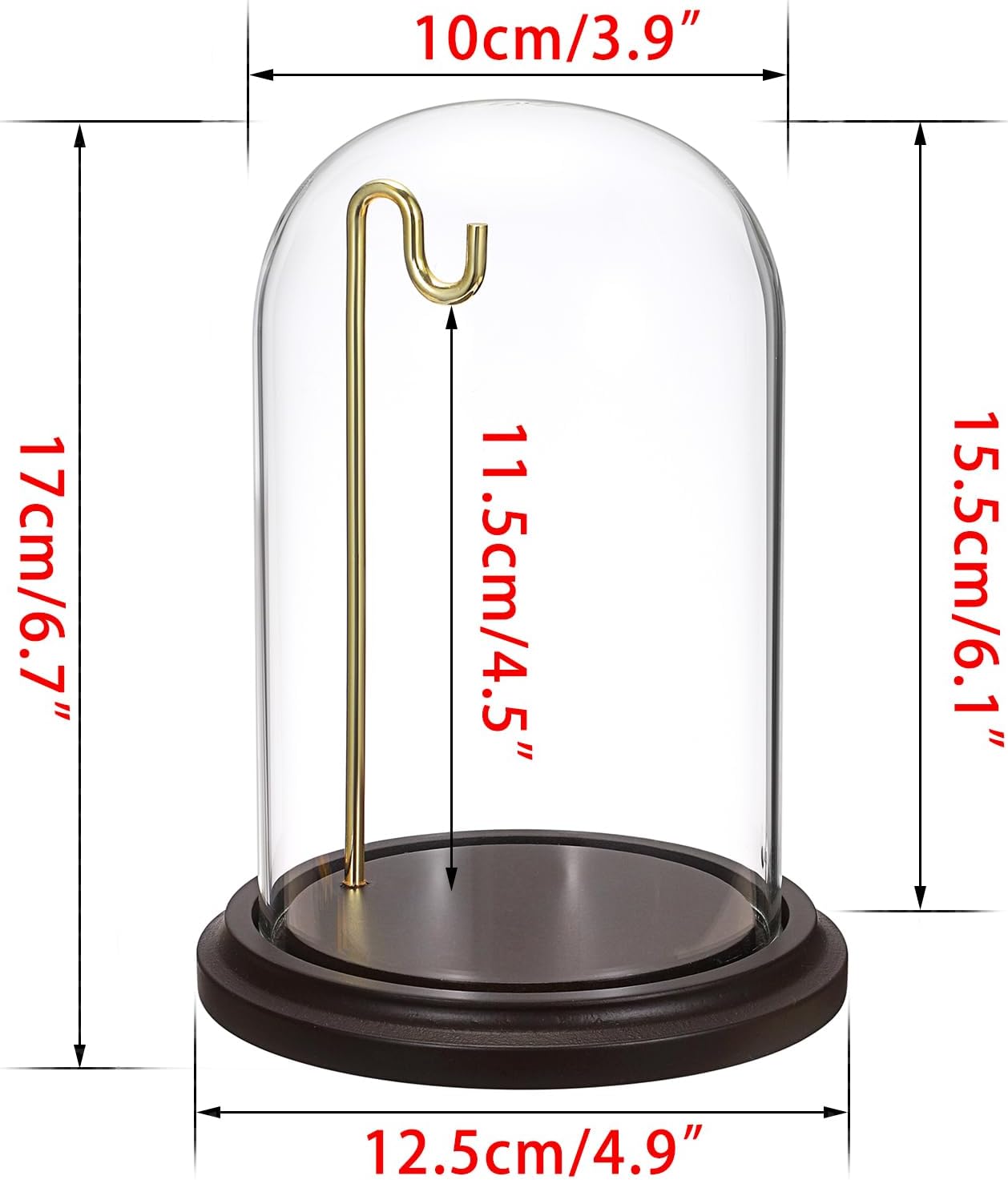JUXYES Clear Watch Glass Display Dome Cloche With Hook, Dome Cloche with Hook with Wooden Base, Transparent Dome Cloche Bell Terrarium Jar Glass Cloche Bell Jar Display for Watch Ornaments
