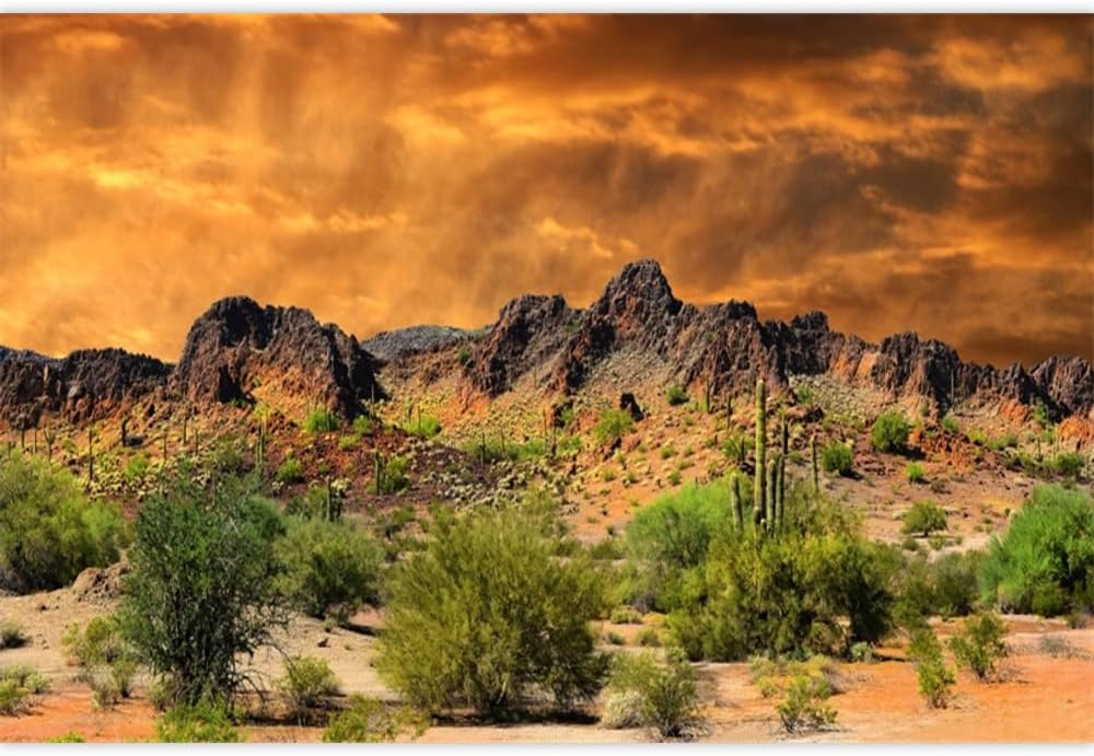 Laeacco 8x6ft Dusk Desolate Desert Backdrop Weathered Mountains Scenic Backdrop Natural Scenery Sunset Glow Cactuses Wedding Photo Studio Stage Perfomance Prop Hiking Camping Pictures Background