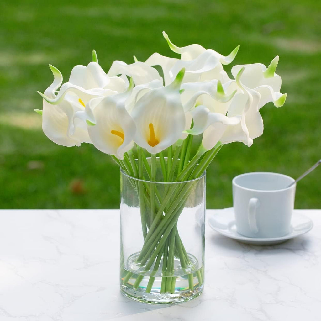 Enova Floral Clear Glass Cylinder Vase 6 x 10 Inches Round Flower Vase, Pillar Candle Floating Candle Holder Vase, Tall Glass Vase for Flowers, Glass Vase for Decor, Wedding Centerpieces (1 Piece)