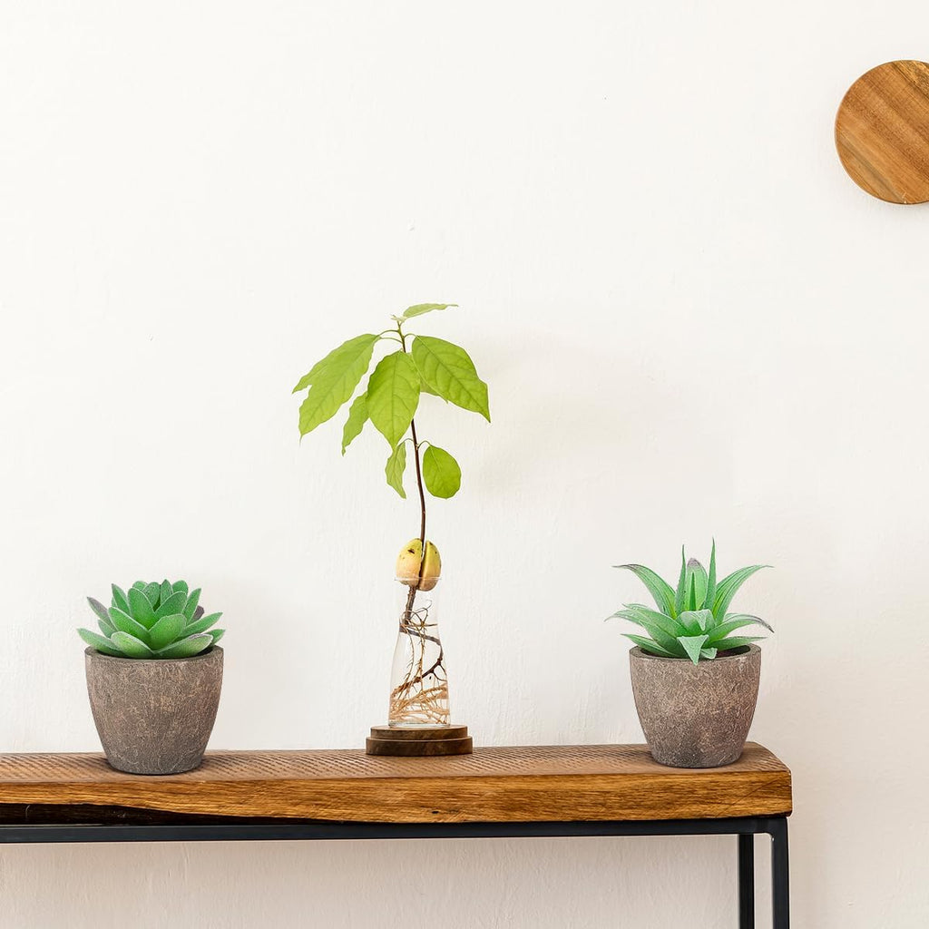 Woration 6pcs Artificial Succulents Plants Potted Assorted Decorative Faux Fake Small Green Succulent with Pot Table Shelf Windowsill Indoor Greenery Decor