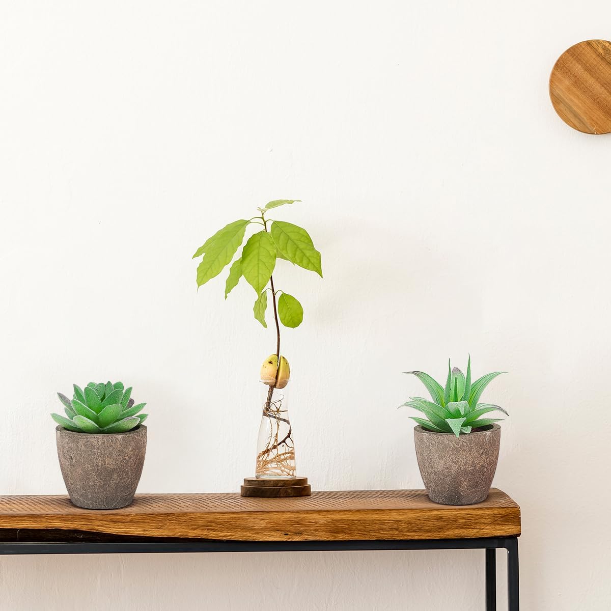 Woration 6pcs Artificial Succulents Plants Potted Assorted Decorative Faux Fake Small Green Succulent with Pot Table Shelf Windowsill Indoor Greenery Decor
