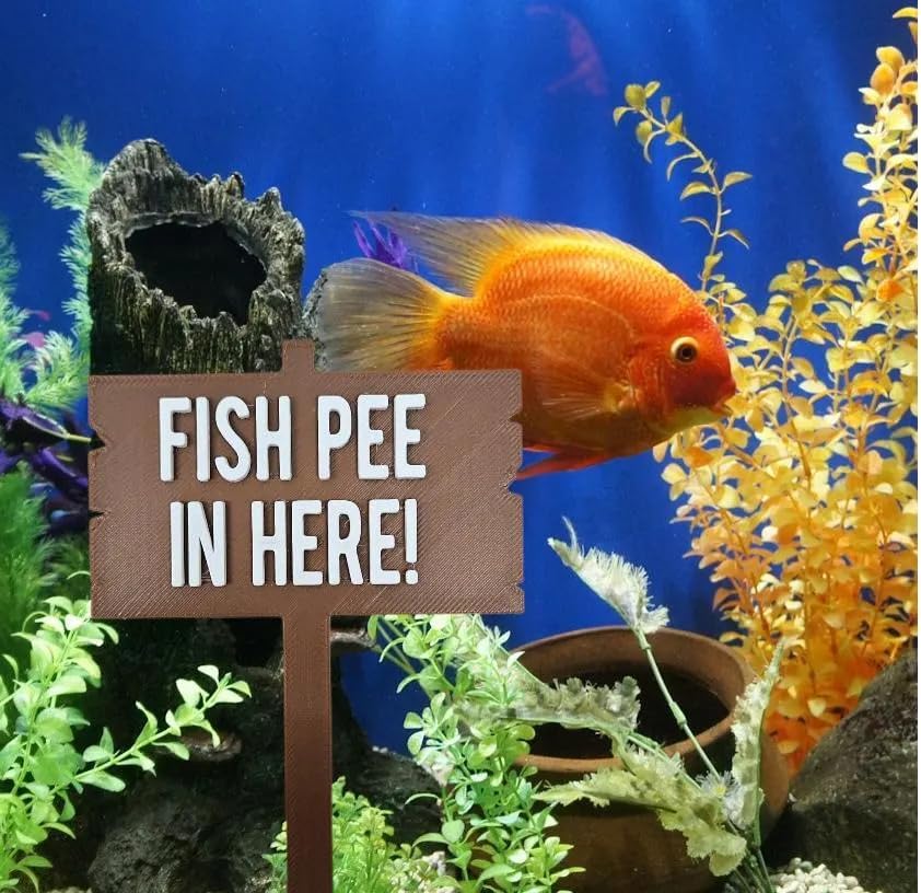 Funny Fish Tank Decor Fish Pee in Here Aquarium Decor Gag Gift for Fish Tank Gag Gift for Friend Moana