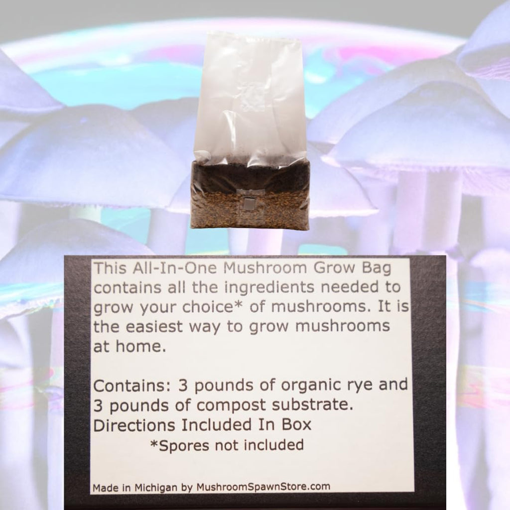 6 Pound Mushroom Grow Bag - All in One Grow Kit in A Bag - Sterilized Grain Spawn and Bulk Substrate - Injector Port - (Pack of 1)