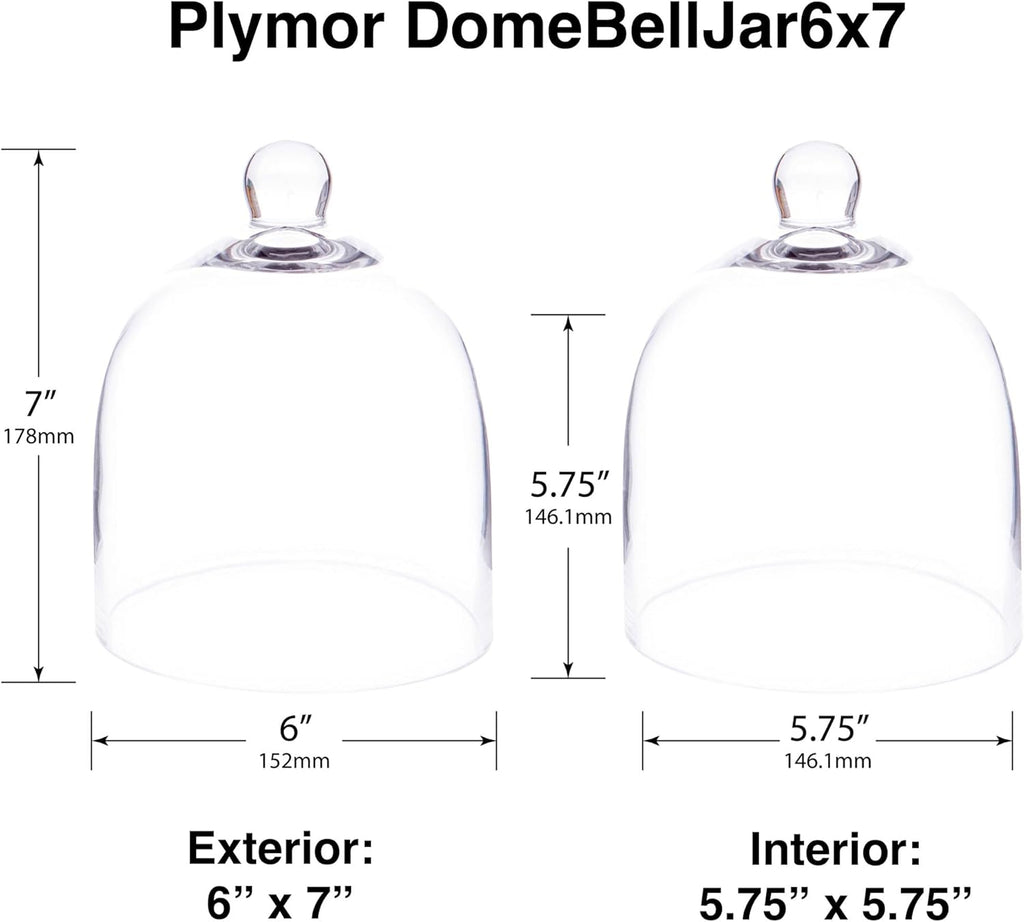 Plymor 6" x 7" Bell Jar Glass Display Dome Cloche (Small - Interior Size 5.75 inch x 5.75 inch)