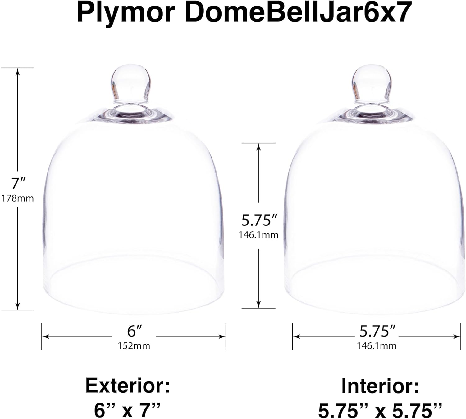 Plymor 6" x 7" Bell Jar Glass Display Dome Cloche (Small - Interior Size 5.75 inch x 5.75 inch)