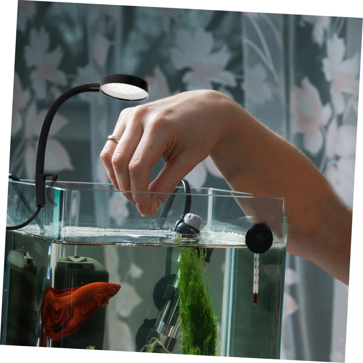 Gadpiparty 2pcs Compact Clip Aquarium LED Light Rotation Fish Tank Lamp and Household Aquarium Lighting USB-Powered Mini LED for Aquatic Plant and Freshwater Tanks