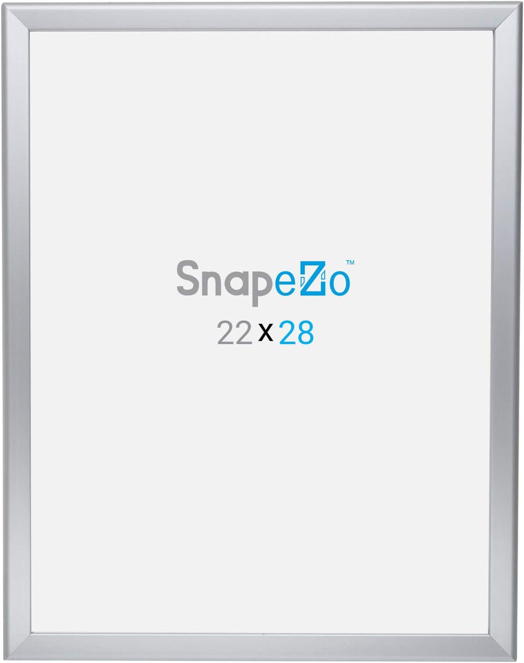 SnapeZo Poster Frame 22x28, Silver, 1.25 Inch Aluminum Profile, Front-Loading Snap Frame, Wall Mounting, Professional Series
