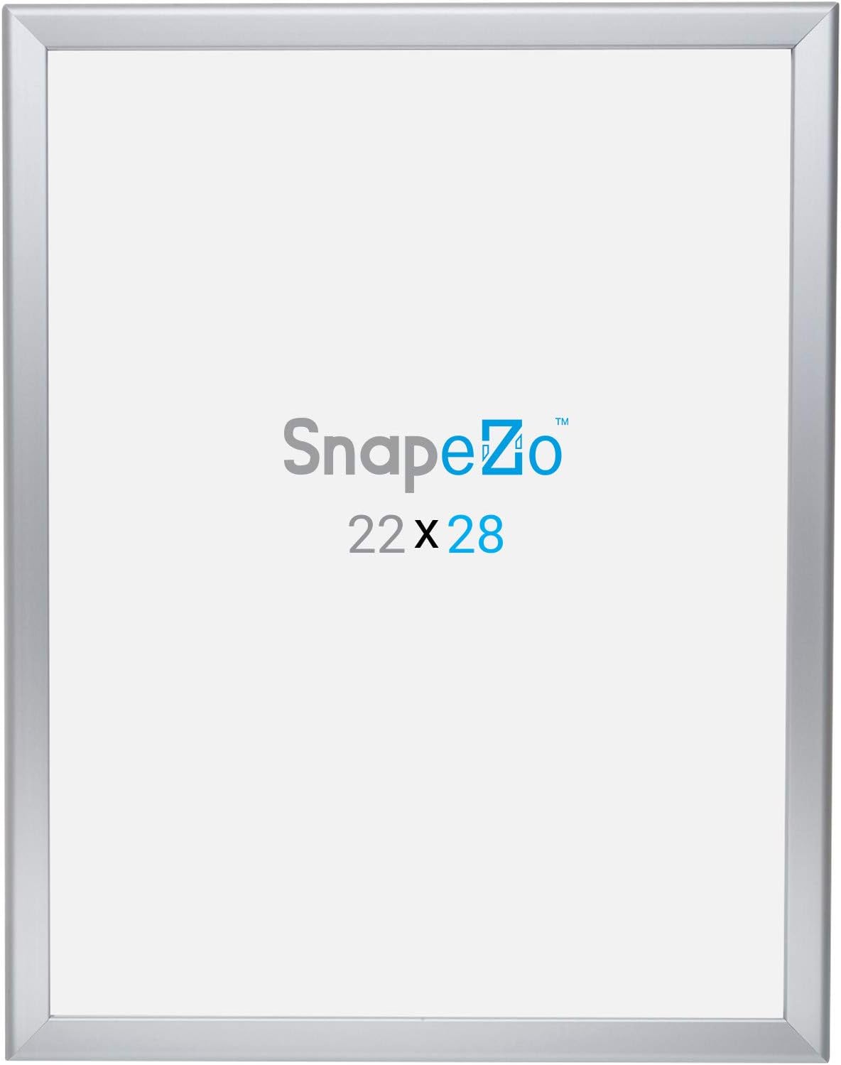 SnapeZo Poster Frame 22x28, Silver, 1.25 Inch Aluminum Profile, Front-Loading Snap Frame, Wall Mounting, Professional Series