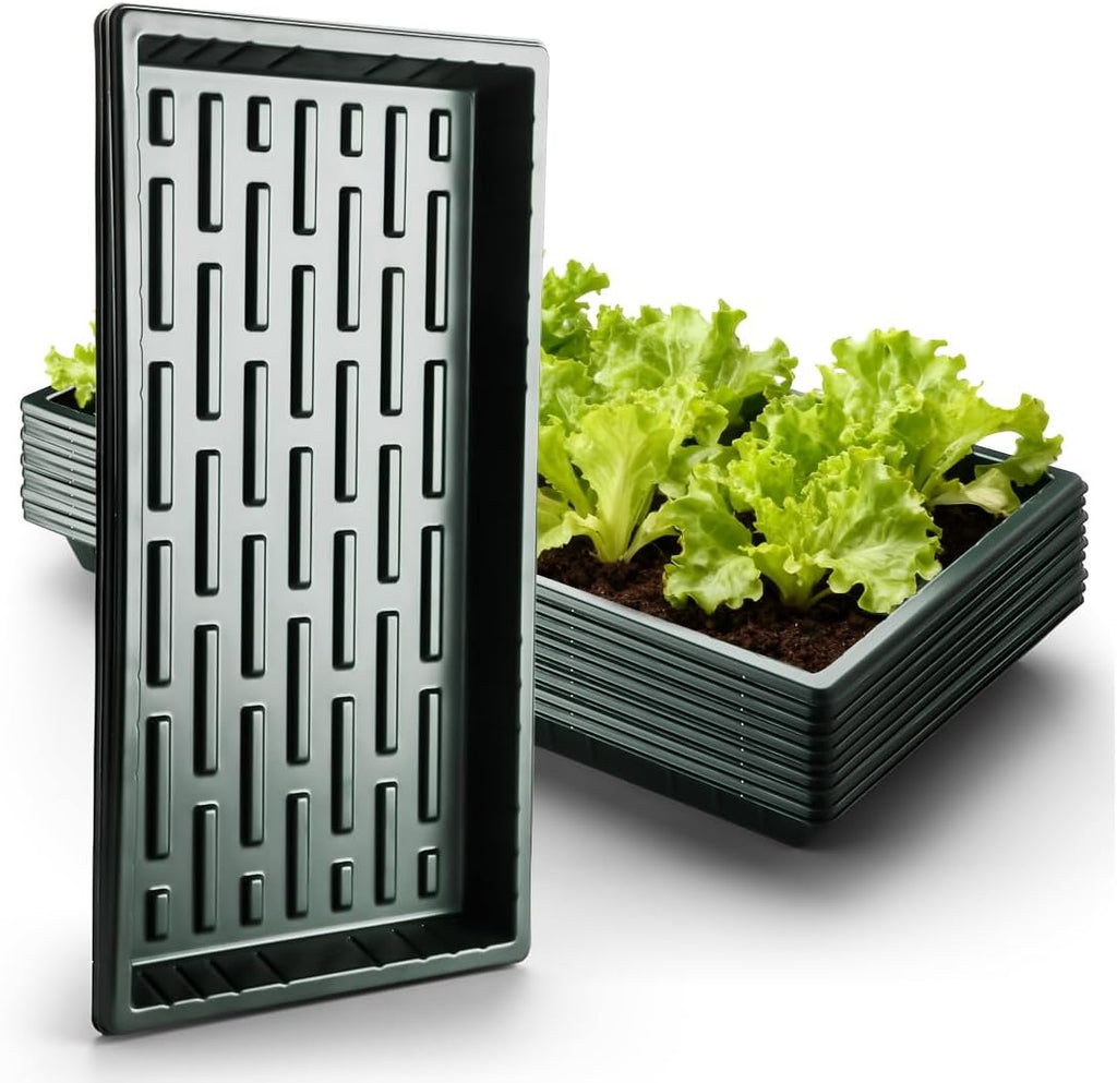 10 Pack Shallow 1020 Trays No Holes - Reusable 1.6" Deep Nursery Flats for 72/128 Cell Plug Tray, Heavy Duty Seed Starter Trays for Microgreens, Hydroponics & Seed Germination (Dark Green)