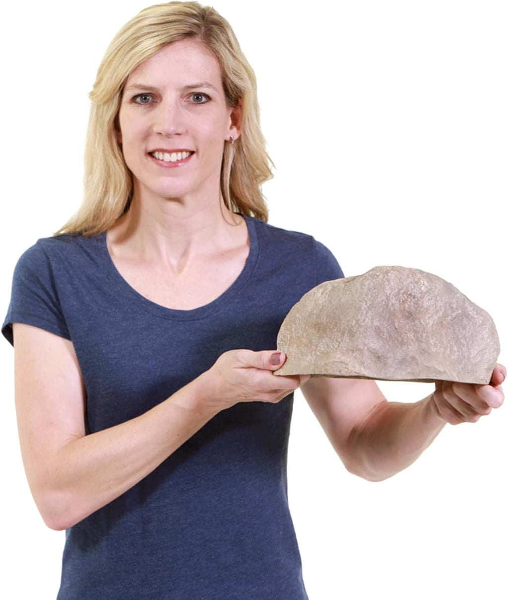 Deckorators 10 inches x 8 inches x 5 inches Tan Key Landscape Rock