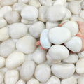 40 lbs White River Rocks for Landscaping, 2-3 Inch Polished Pebbles for Indoor Plants, Decorative White Stones for Planters, Vase, Aquarium, Fish Tank and Garden