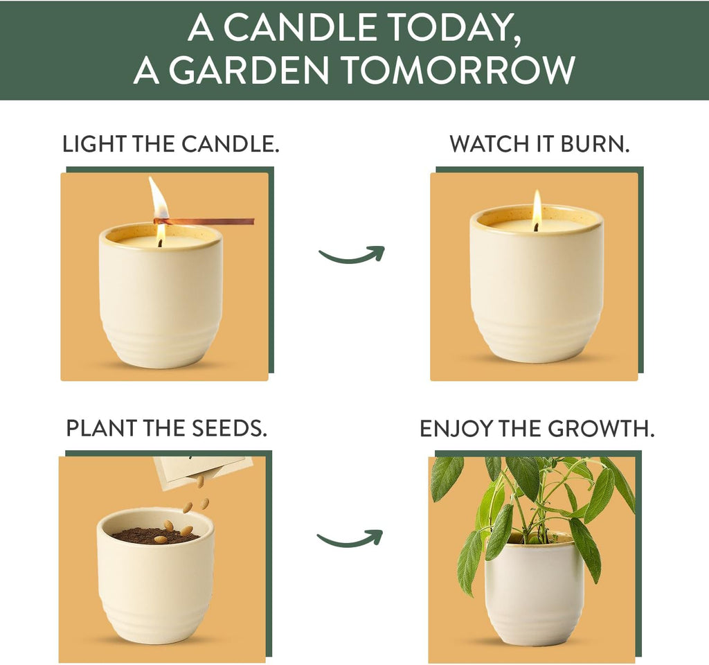 Modern Sprout Garden Vibes 2-in-1 Soy Candle & Planter - Golden Moments (Cali Lemon, Amber, Moss) 6 Oz Scented Candle with Sage Seeds - Dual Purpose Jar - 38-40 Hour Burn – Perfect Plant Lovers Gift