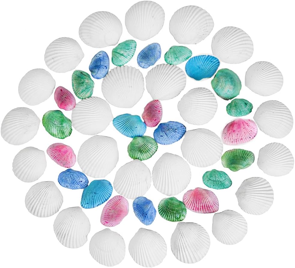 68 Pcs Small Natural Scallop Seashells 1-1.5 Inch Decorative Sea Shells for DIY Painting Projects,Coastal Crafts,Beach Theme Decor,Wedding Centerpieces, Aquarium,Vase Fillers,White,Colored Mix