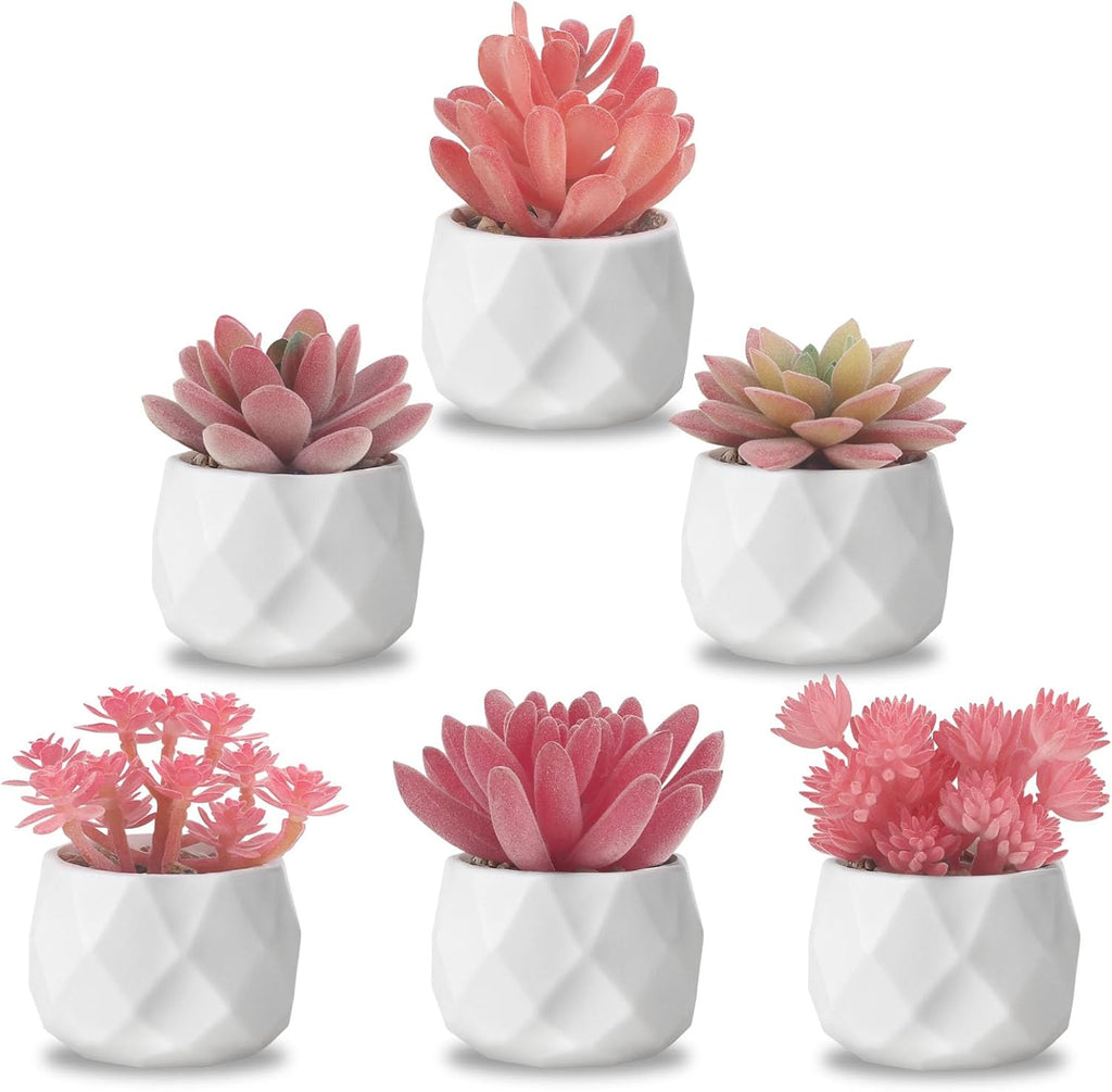 ZINHO Fake Succulent Plant Set 6 PCS Artificial Succulent Plants for Desk Realistic Faux Succulents in Plastic Pots Mini Colorful Succulent Decor for Bedroom Office Shelf Decor (Pink)