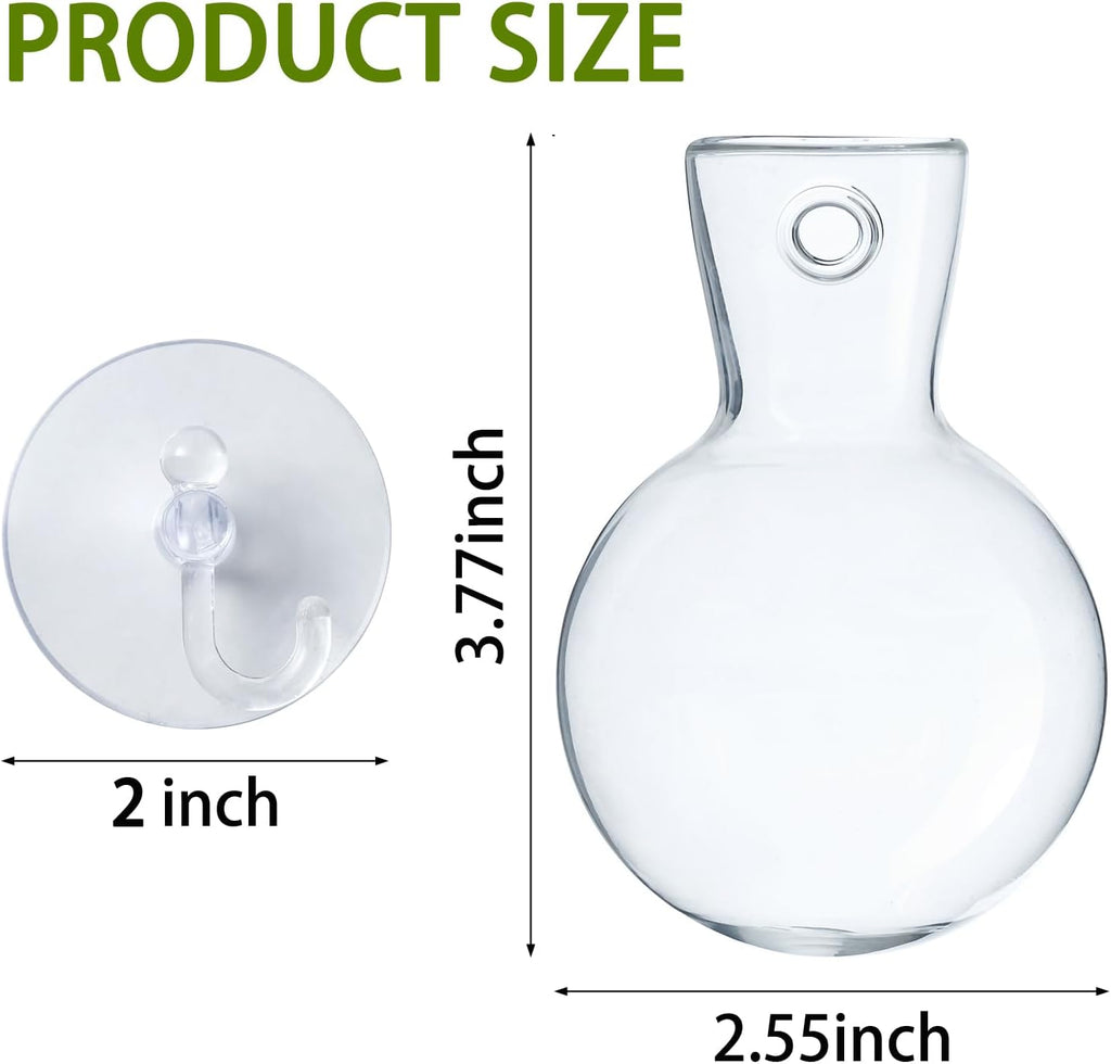 Window Propagation Stations, Bulb Vase with Suckion Cups Hooks, Easy to Install Window Hanging Planter, Glass Terrarium Planters for Water Plant Propagation & Rooting Cuttings (6)