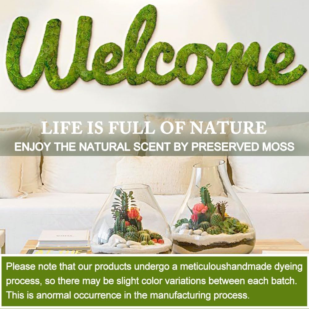 Preserved Moss for Crafts Green Reindeer Moss for Potted Plants, Craft Decorative Moss Decor for Wall Art, Dried Moss(7oz,White)