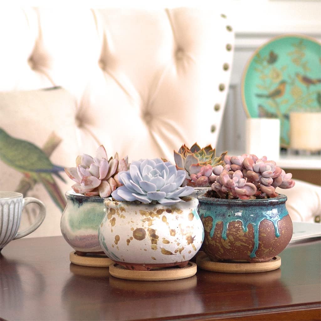 Succulent Pot 4 Inch Hand Glazed Plant Pot Round Ceramic Succulent Planter with Drainage and Saucer Cactus Clay Pot Set of 4